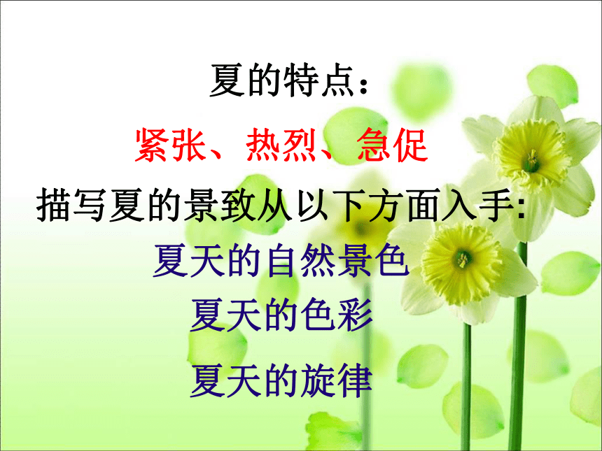 1夏 课件