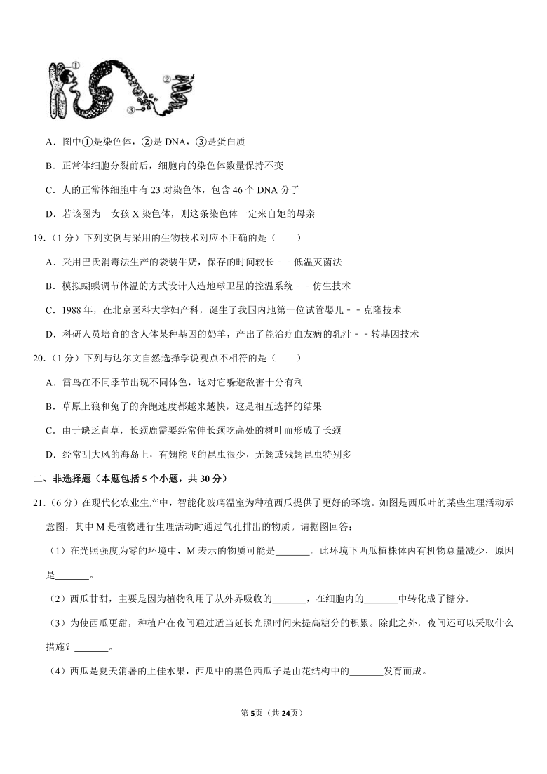 2020年山东省淄博市中考生物试卷（Word版含答案）