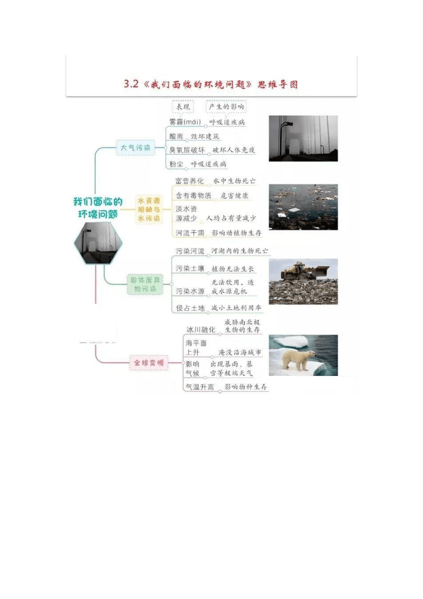 科学第三单元思维导图图片