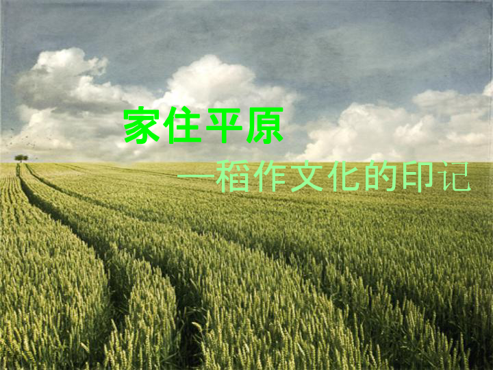 稻作文化的印记 课件（20张PPT）