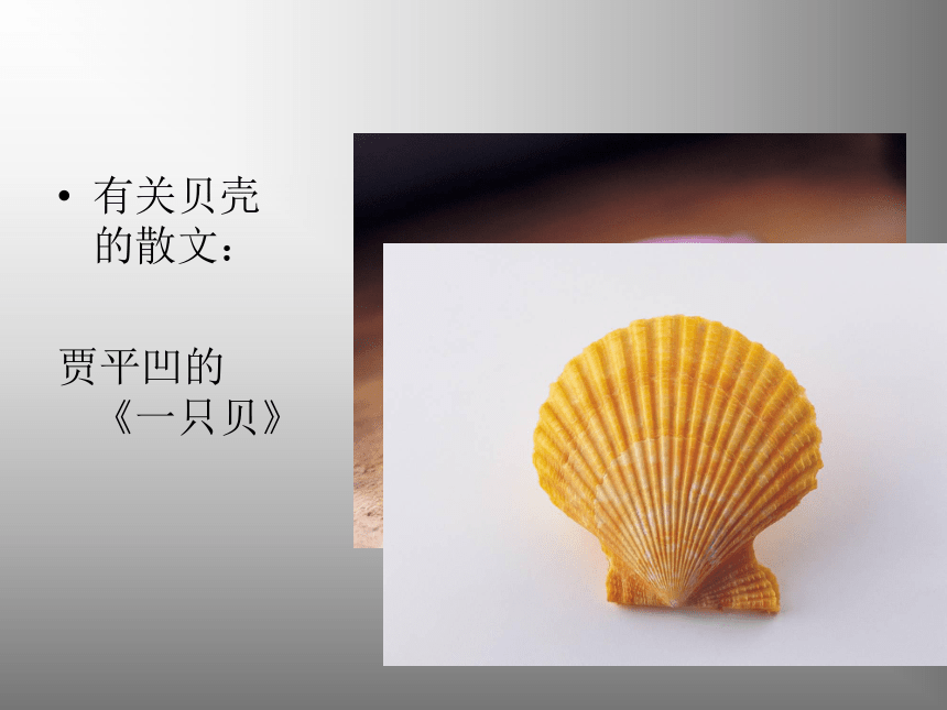 短文两篇（蝉、贝壳）