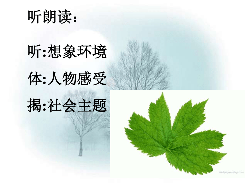 在烈日和暴雨下