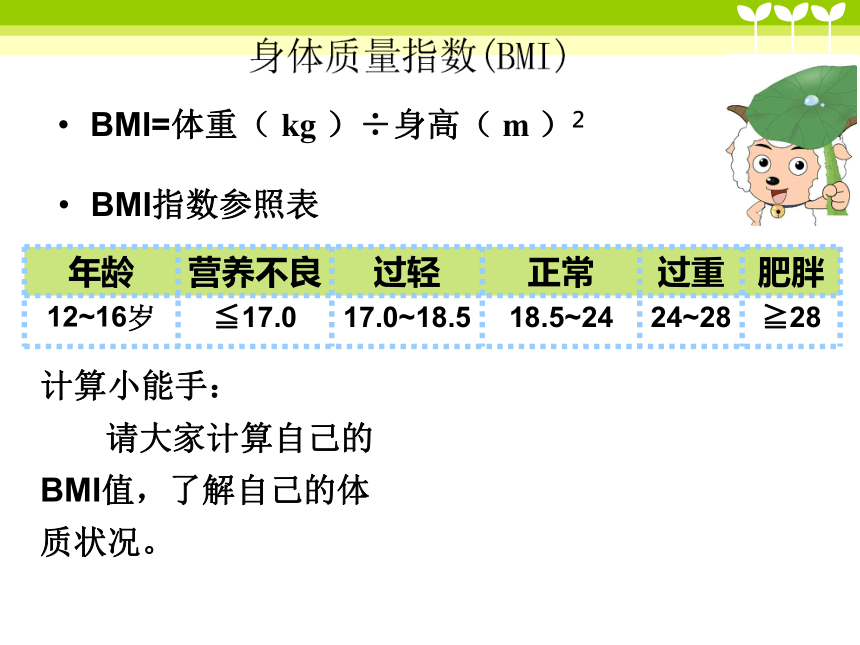 桂科版八年级上册信息技术 2.1运用公式计算 课件（14ppt）