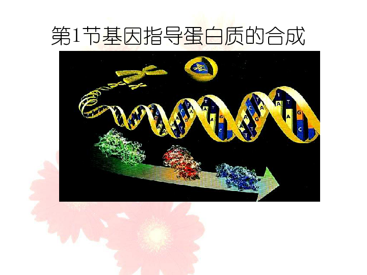 人教版高中生物必修二第4章第1节基因指导蛋白质的合成 课件共38张PPT