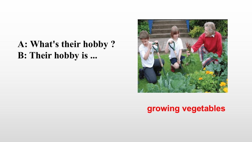 Module 6 Hobbies Unit 2 Hobbies can make you grow as a person.课件(共20张PPT)