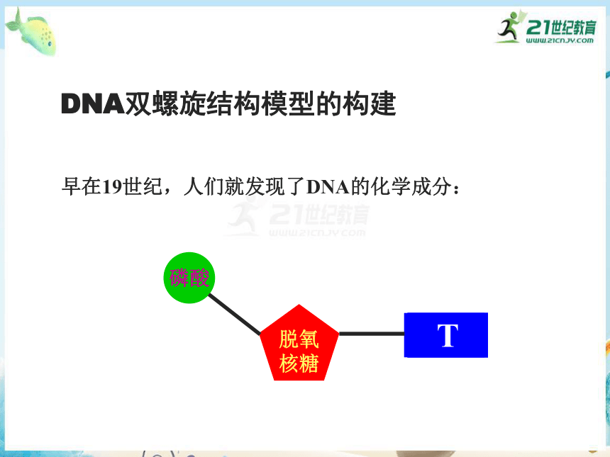 3.2 DNA分子的结构（共20张PPT）