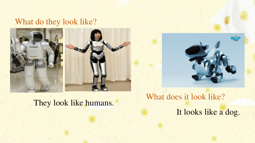 Unit 7 Will people have robots? Section B Reading课件(共15张PPT)