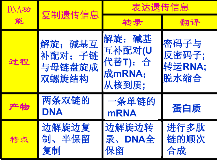 人教版高中生物必修二第4章第2节《基因对性状的控制》课件共23张PPT