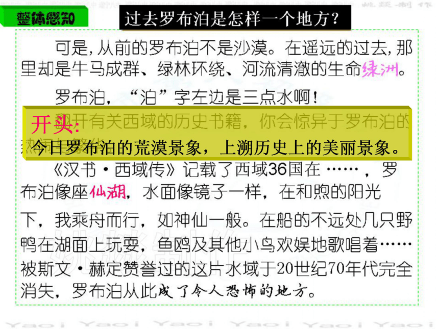 2015—2016人教版语文八年级下册第三单元课件：第12课《罗布泊_消失的仙湖》（共62张PPT）