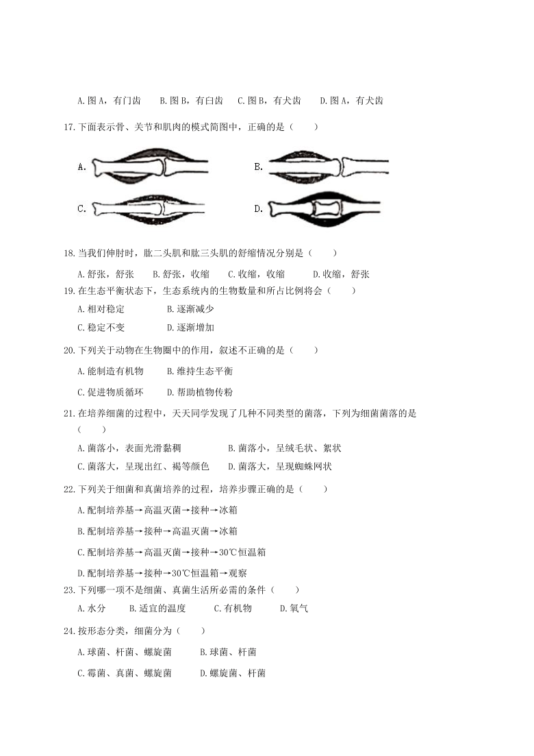 云南省红河州河口县2020-2021学年第一学期八年级生物期末检测试题（word版，含答案）