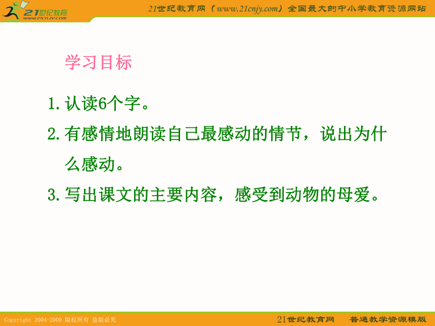 四年级语文下册课件 母爱 1（语文a版）