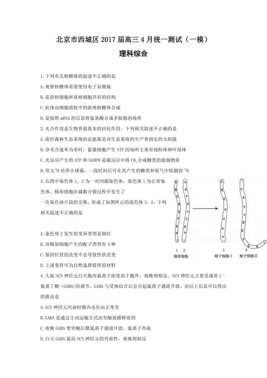 北京市西城区2017届高三4月统一测试（一模）理综试卷