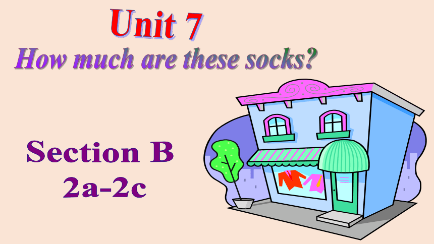 Unit 7 How much are these socks？SectionB2a-2c课件 (共26张PPT)-21世纪教育网