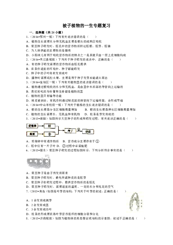被子植物的一生 专题复习试题