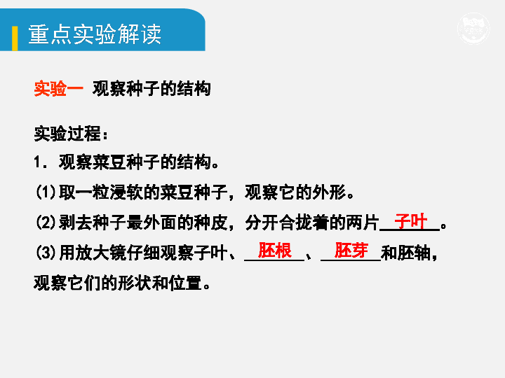 2020年中考生物基础知识复习：四、生物圈中的绿色植物（一）绿色开花植物的一生（实验）(22张ppt)