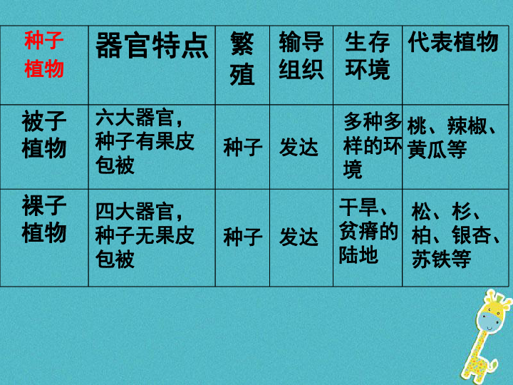 生物下册11.1地面上的植物苔藓和蕨类课件（24张PPT）