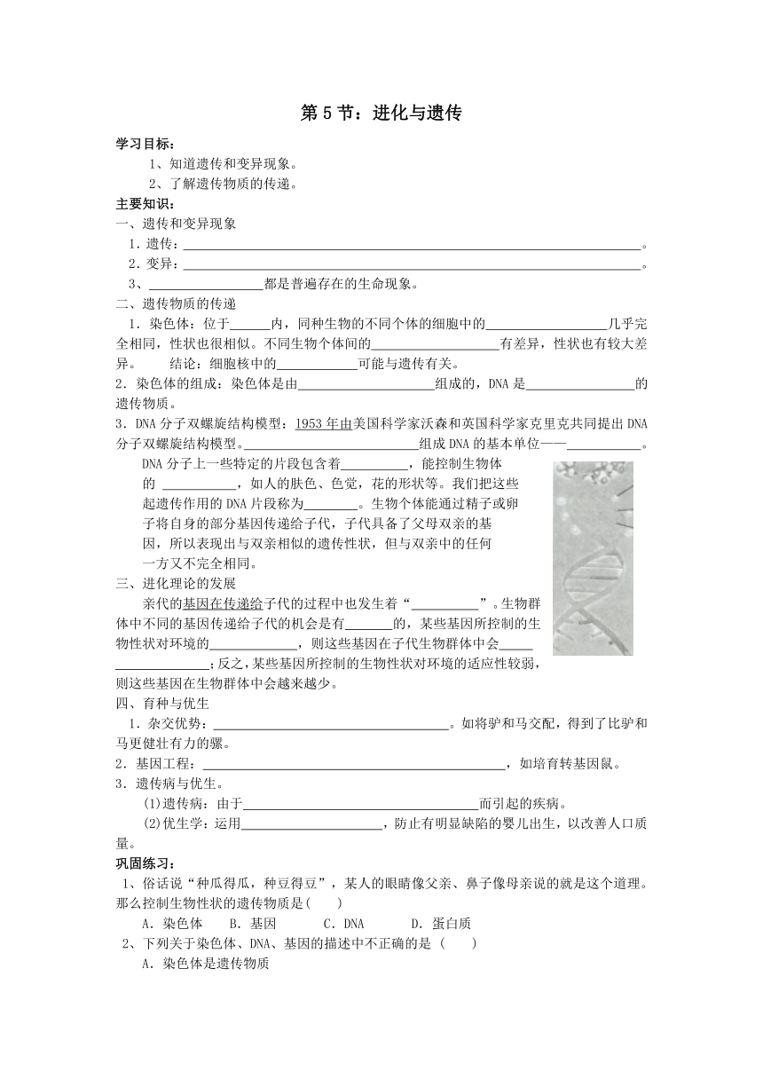 第5节 遗传与进化导学案