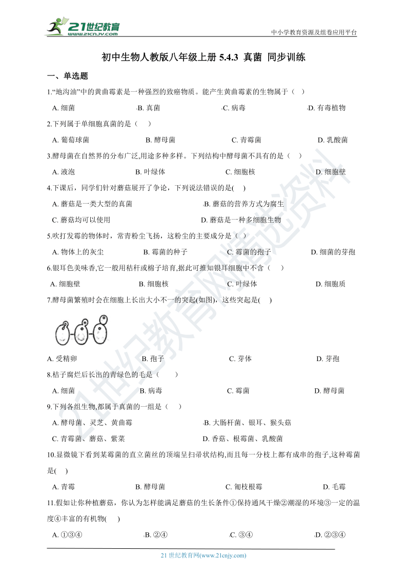 5.4.3 真菌 同步训练(含解析）