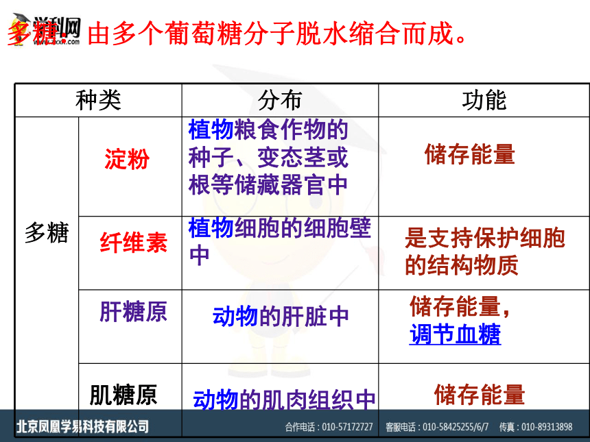 高中生物人教版必修1第二章细胞中的糖类和脂质课件 共20张PPT)