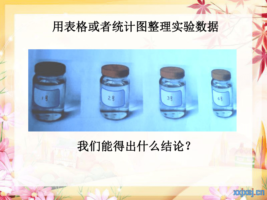 2.3清洁剂的“威力” 课件 (2)