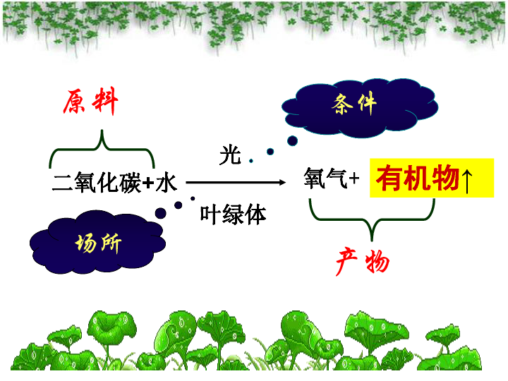 苏教版七上生物 6.5 光合作用和呼吸作用原理的应用 课件（共31张PPT）