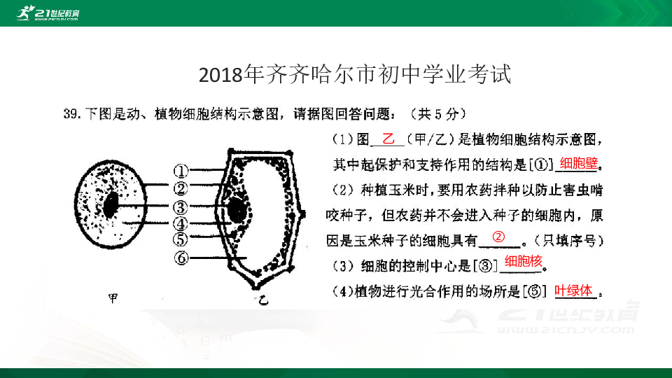 人教版生物中考专项训练-识图作答(共41张PPT)