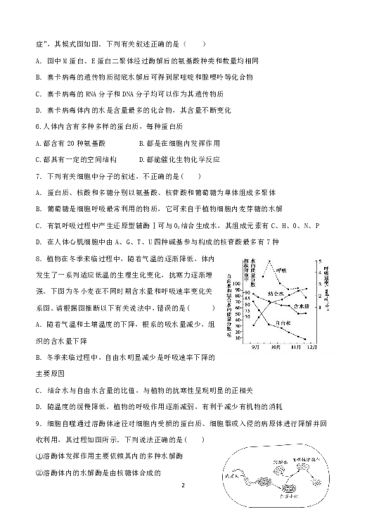 辽宁省沈阳市东北育才学校2020届高三上学期第一次模拟考试生物试题