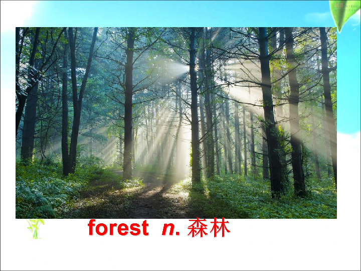 Unit 4 Our World Topic 1 What's the strongest animal on the farm? Section C 课件33张PPT
