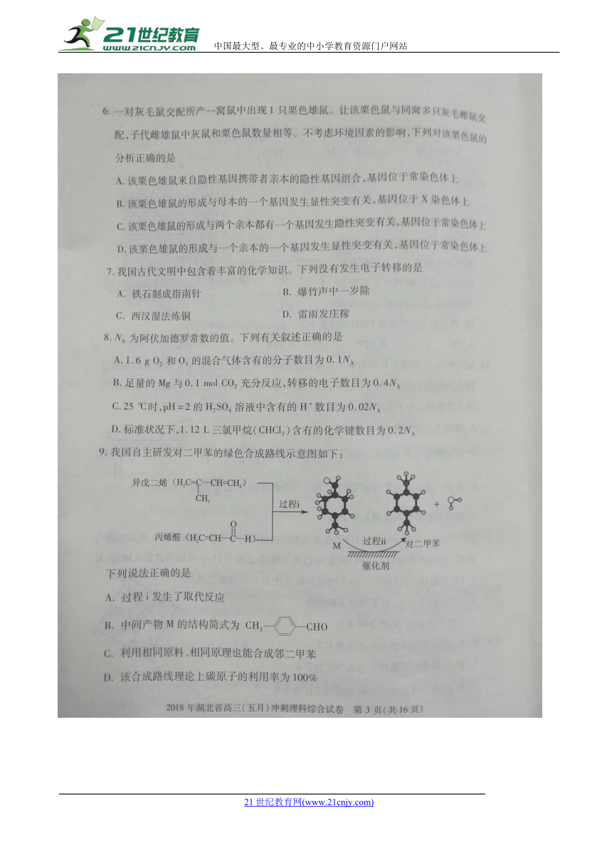 湖北省2018届高三5月冲刺理科综合试题（扫描版，含答案）