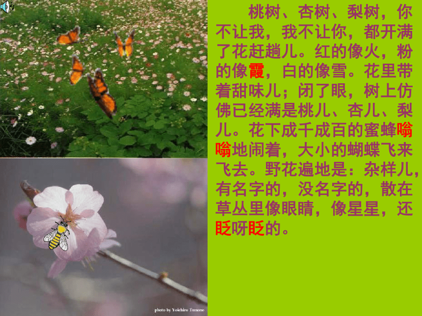 语文八年级下新教版（汉语）6《春》课件（14张）