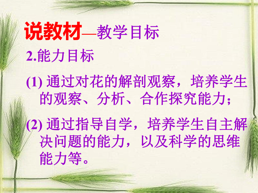 开 花 和 结 果.ppt