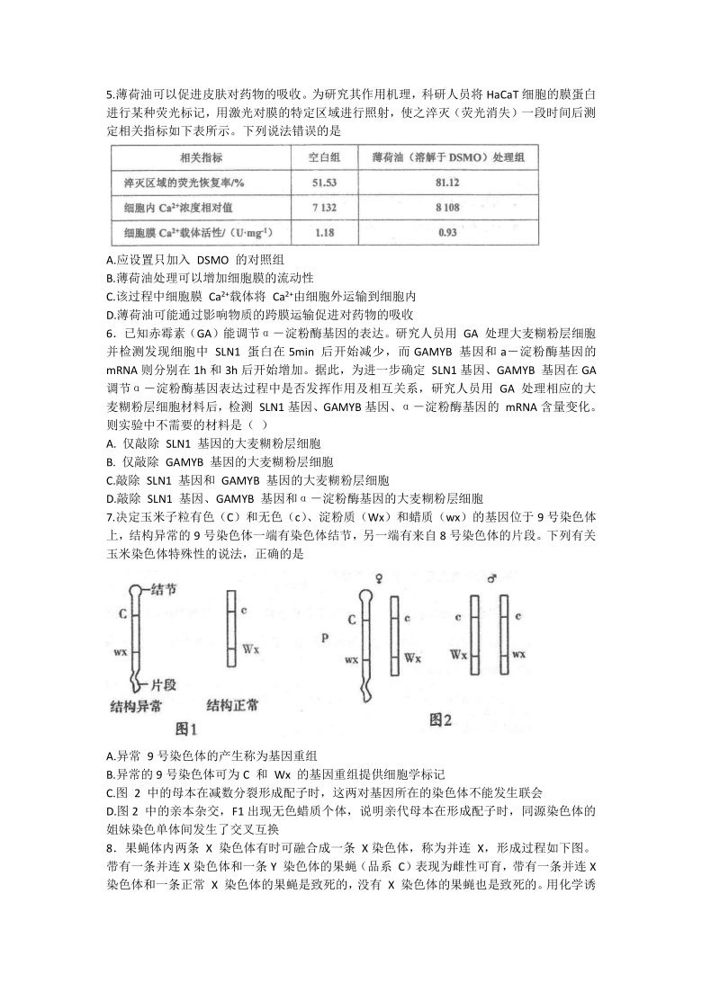 河北省衡水中学2021届高三5月份第3次调研生物试题    含答案