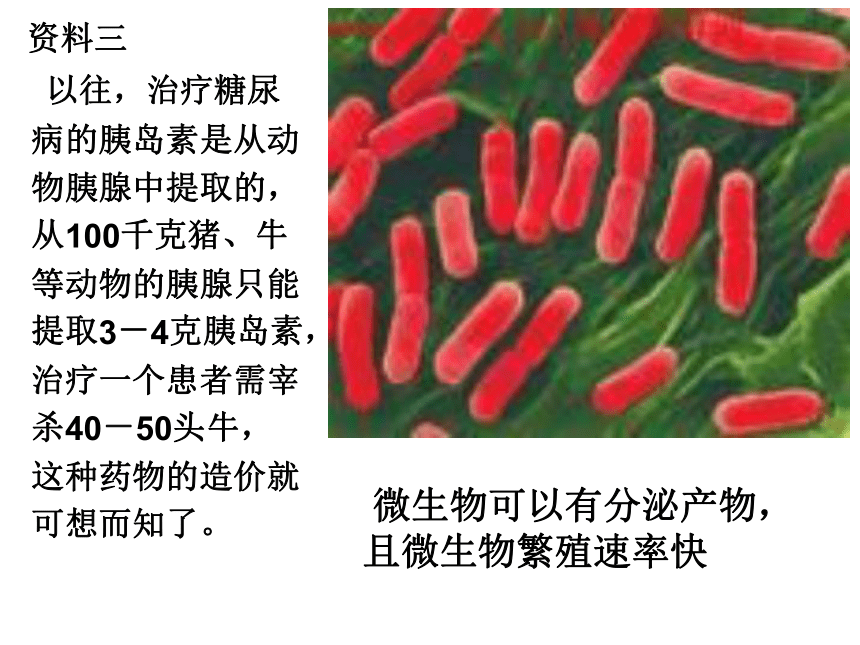 高中生物人教版必修二第六章第2节 基因工程及其应用 课件 (46张PPT)