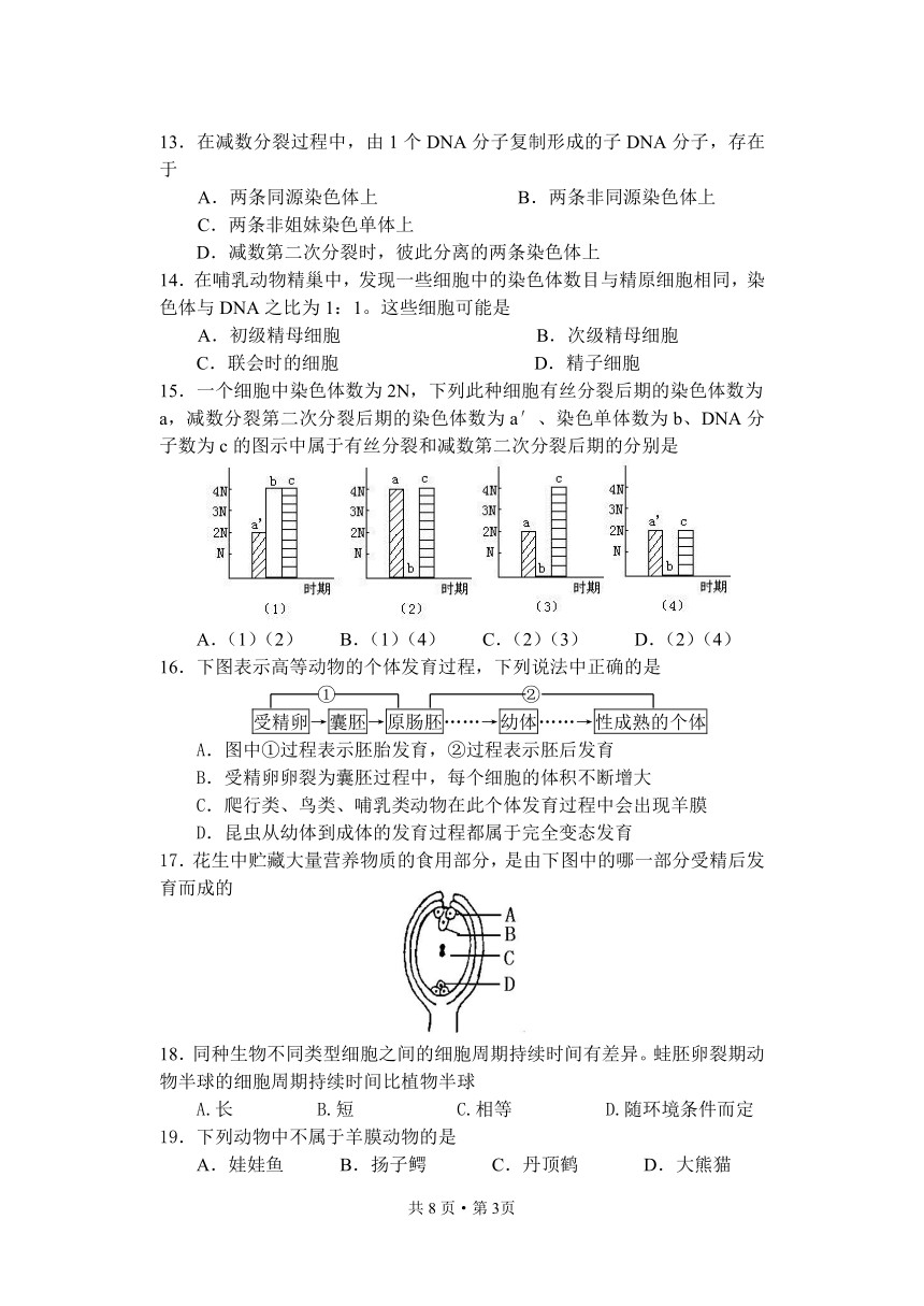 高二生物班第四、五章单元测（玉中）[上学期]