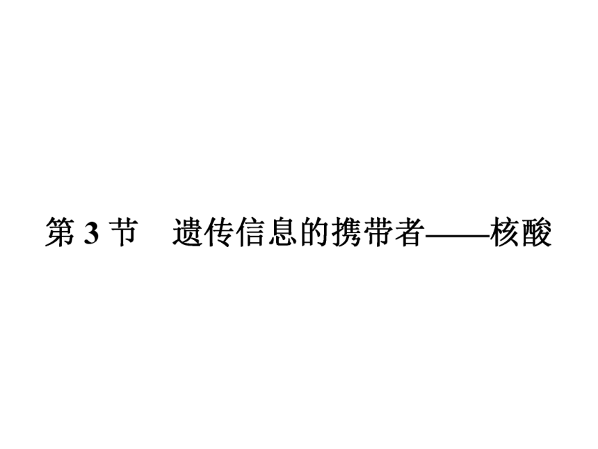 人教版生物必修1同步教学课件：2.3 遗传信息的携带者——核酸