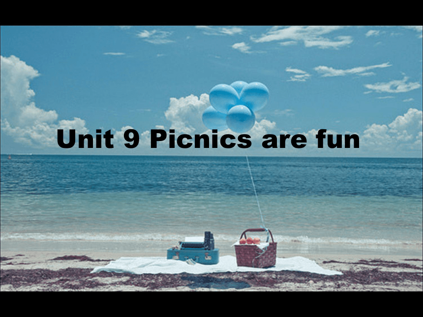 Unit 9 Picnics are fun 课件