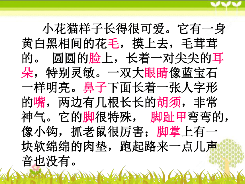 《可爱的小动物》教学课件