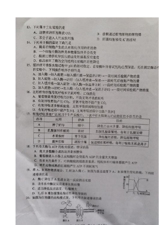 四川省广安市2018-2019学年高一上学期期末考试生物试题 扫描版