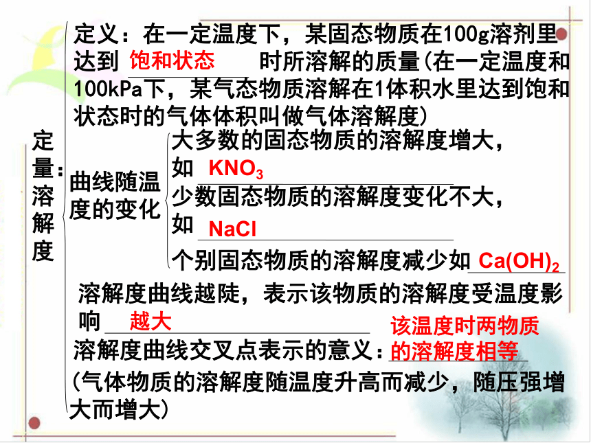 广东省中山市马新中学人教版2016年初中化学中考专题复习课件  专题15  溶液及溶解度（共17张PPT）