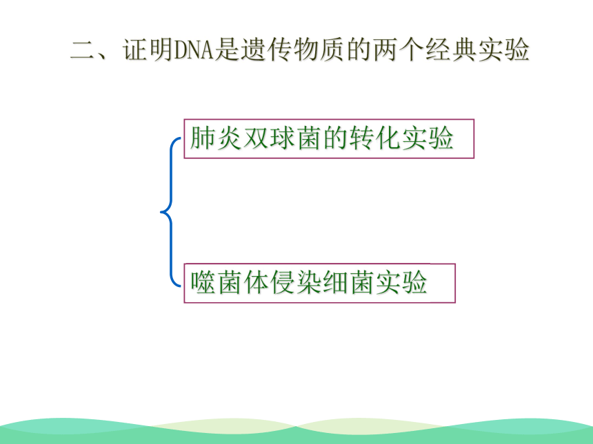 高中生物必修2 第三章第1节DNA是主要的遗传物质 课件（32张）