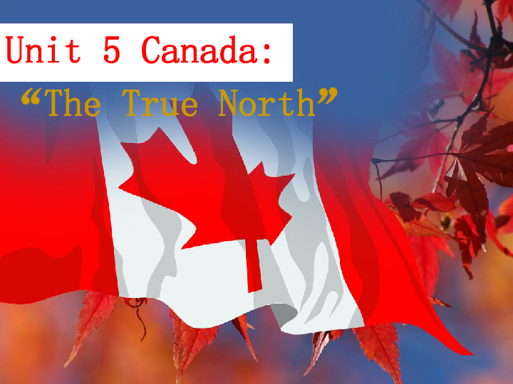 人教版高中英语必修三 Unit-5-Canada-—“The-True-North”-Using language课件 (共45张PPT)