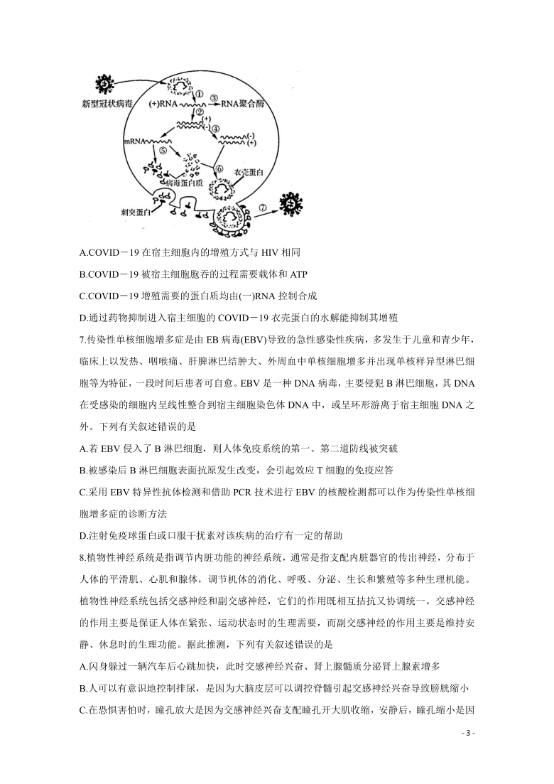 山东省济南市2021届高三上学期期末考试 生物 Word版 含答案