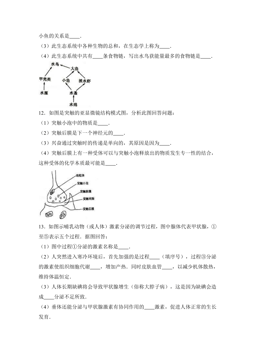 西藏拉萨市北京实验中学2016-2017学年高二（上）期末生物试卷（解析版）