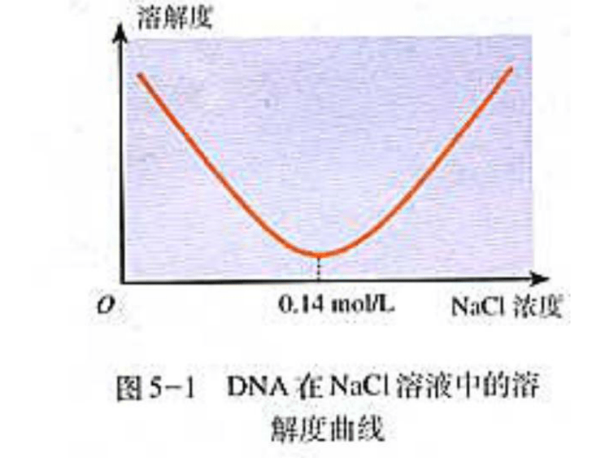 5.1DNA的粗提取与鉴定