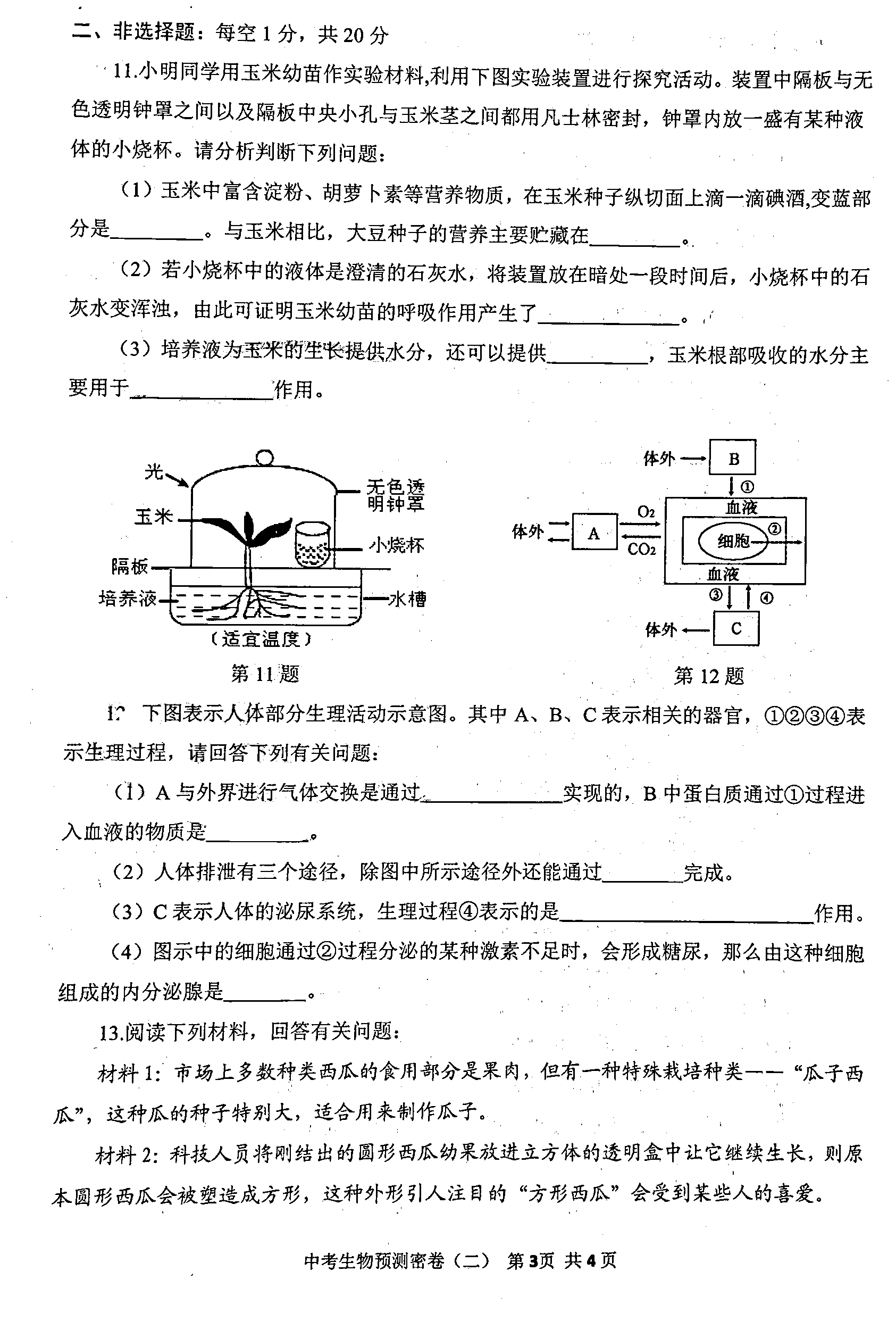 江苏省徐州市2020年中考模拟预测密卷（二〉生物（图片版无答案）