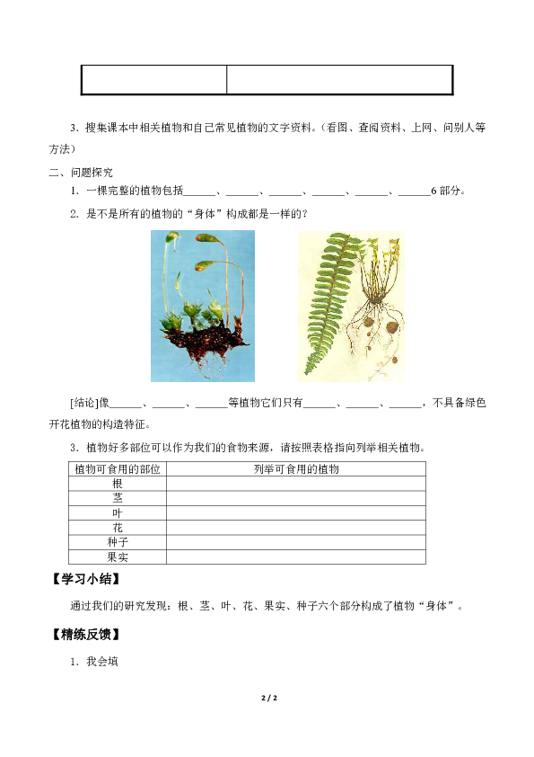 青岛版（六三制2017秋）三年级上册科学 学案2.5.植物的“身体”（无答案）