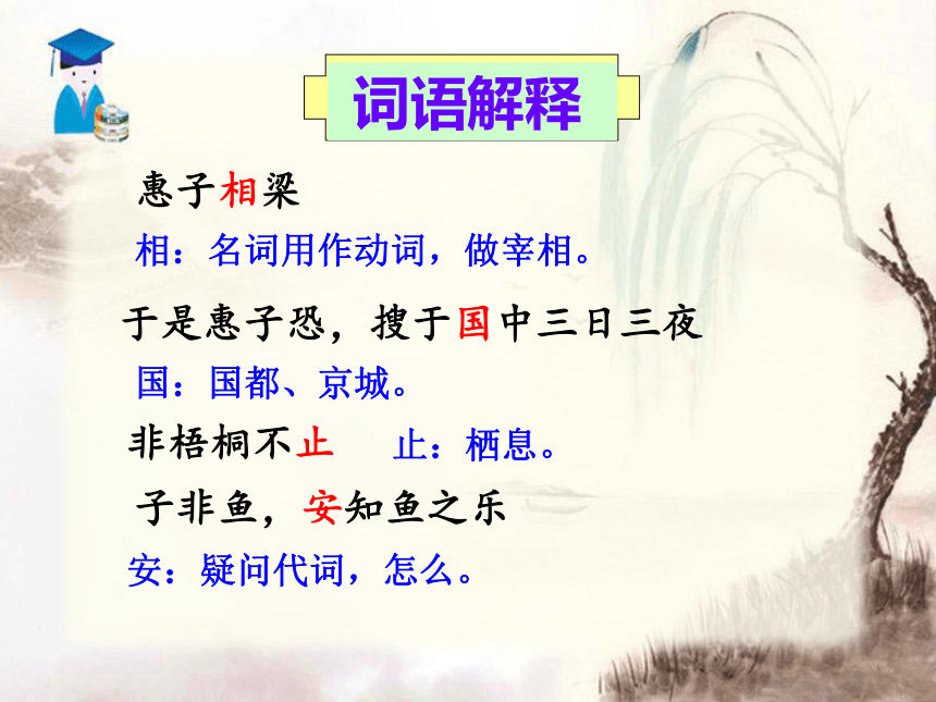 《《庄子》故事两则》课件 (共38张PPT)