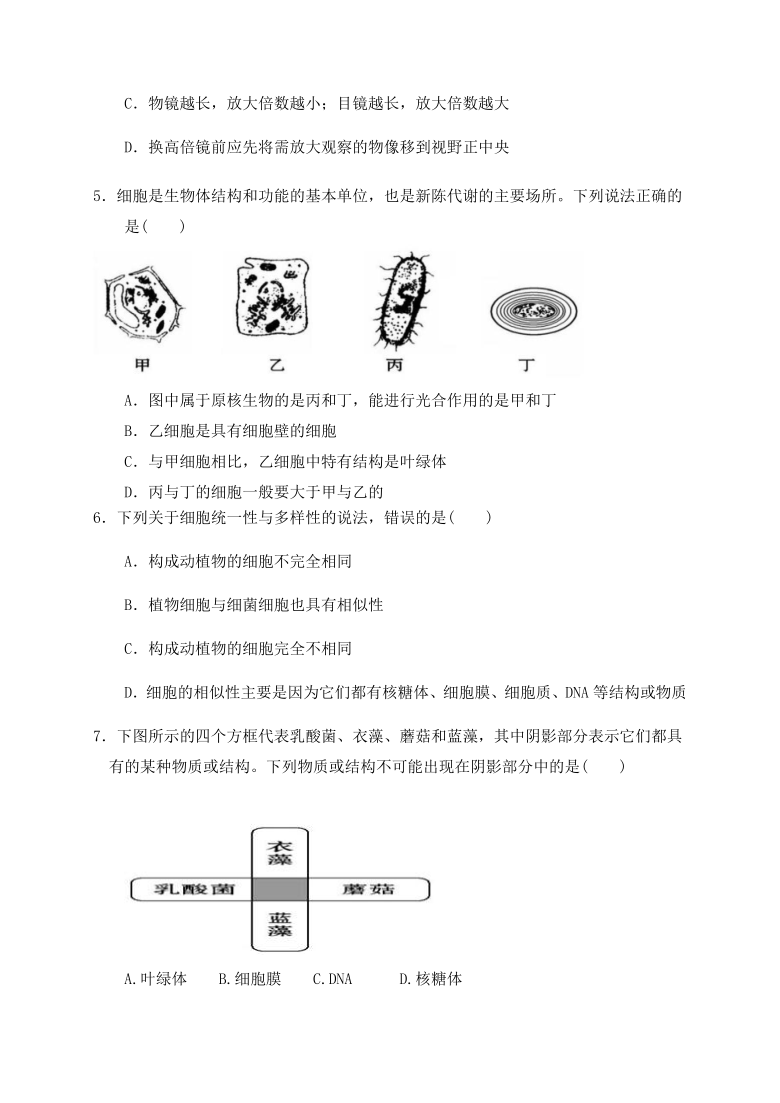 贵州省毕节实验高中2020-2021学年高一上学期期中考试生物试题  含答案