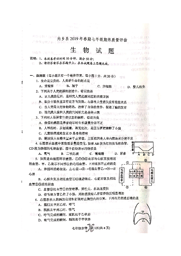 河南省南阳市内乡县2018-2019学年七年级下学期期终质量评估生物试题（图片版）