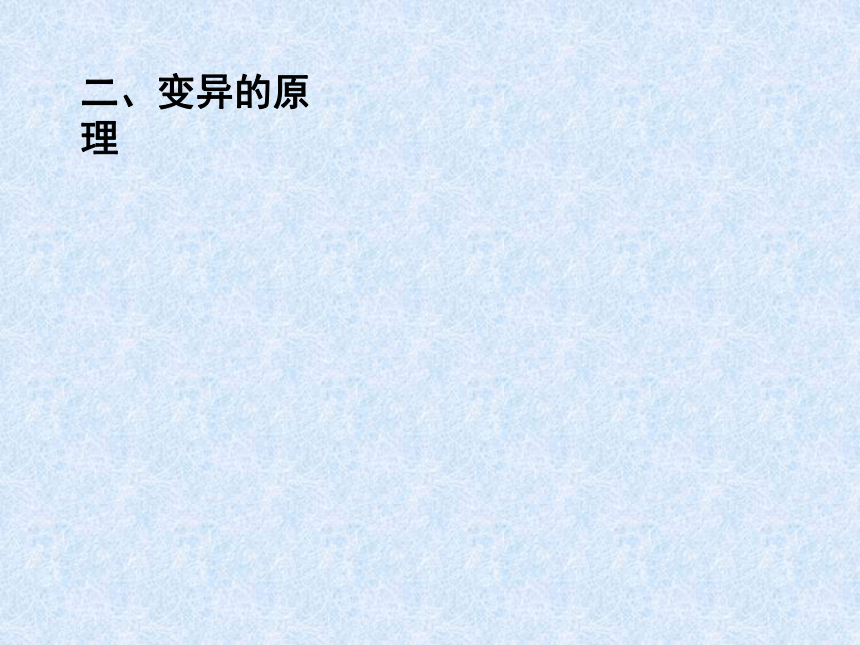 生物变异的类型、原理及应用1[上学期]